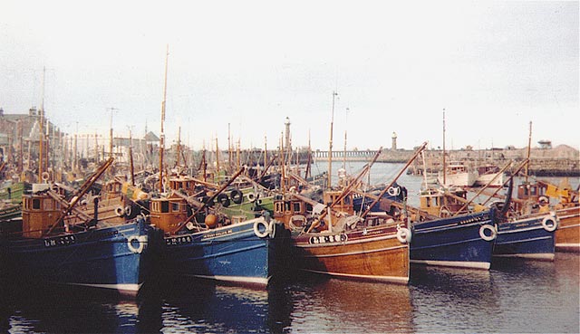 Leith Fishing Boats, including LH28  -  Where?