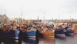 Leith Fishing Boats, including LH28  -  Where?