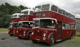 LRT Buses at Lathalmond Vintage Bus Museum, August 2009