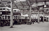 Edinburgh Buses  -  Shrubhill Works, possibly in the 1960s