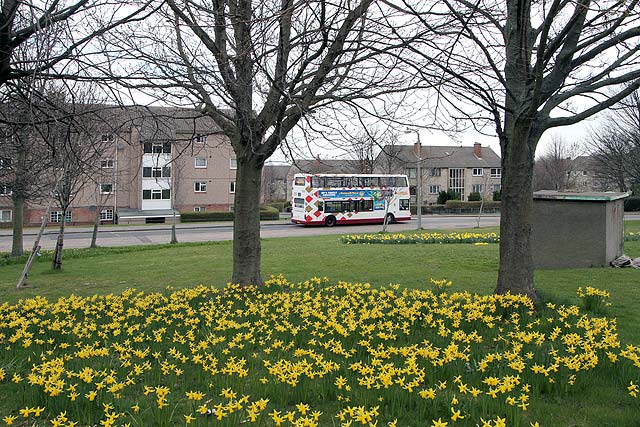 Lothian Buses  -  Terminus  -  Oxgangs  -  Route 5