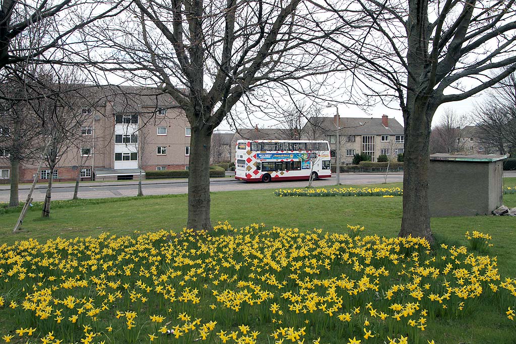 Lothian Buses - Terminus - Oxgangs - Route 5