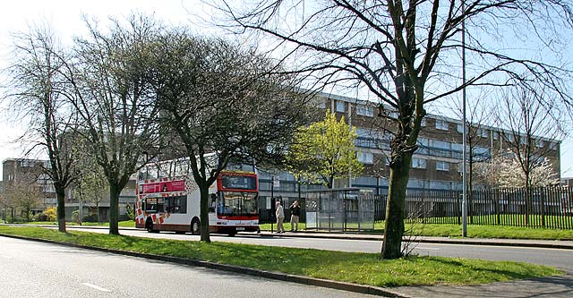 Lothian Buses  -  Terminus  -  Muirhouse -  Route 8