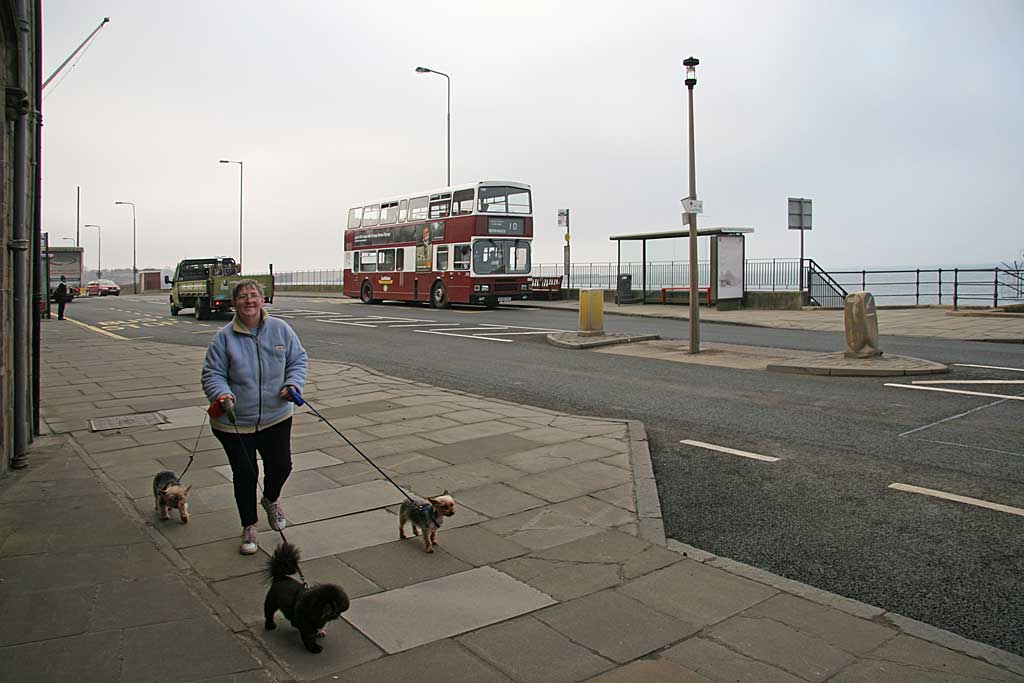 Lothian Buses - Terminus - Newhaven - Route 10