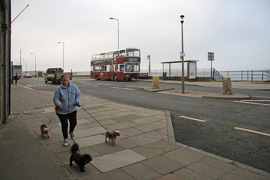 Lothian Buses  -  Terminus  -  Newhaven  -  Route 10