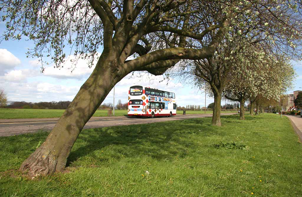 Lothian Buses  -  Terminus  -  Silverknowes  -  Route 16