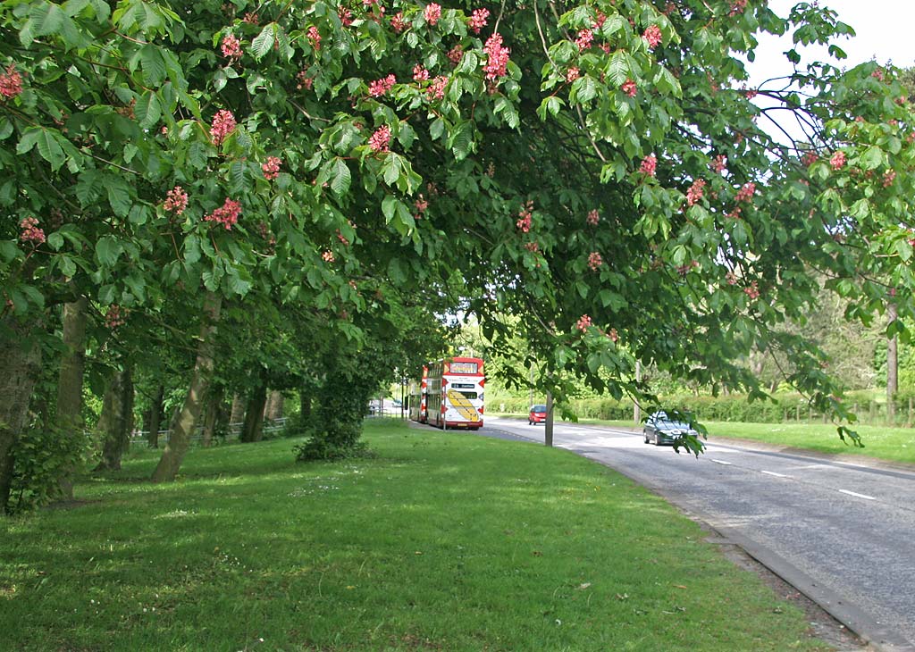 Lothian Buses - Terminus - Clerwood - Route 26