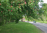 Lothian Buses  -  Terminus  -  Clerwood  -  Route 26