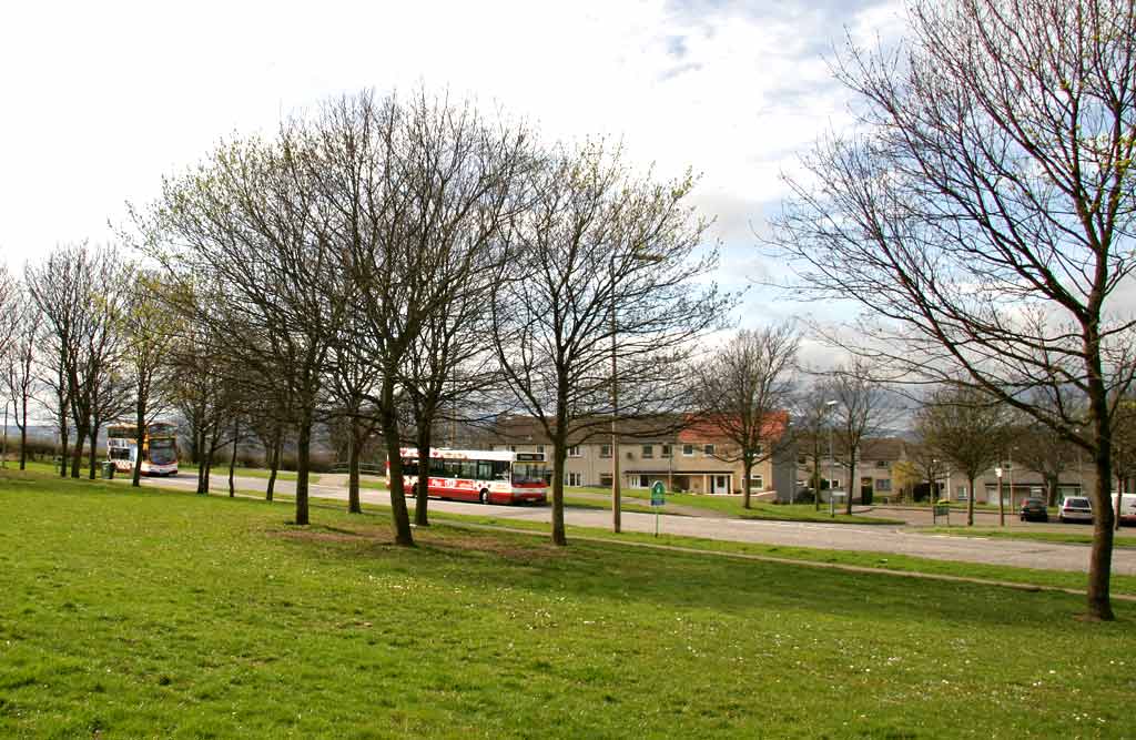 Lothian Buses  -  Terminus  - Mayfield  -  Route 29