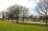 Lothian Buses  -  Terminus  -  Mayfield  -  Route 29