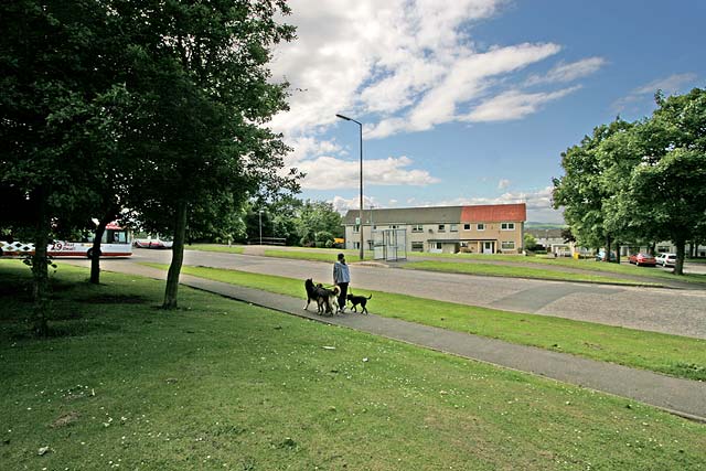 Lothian Buses  -  Terminus  - Mayfield  -  Route 29