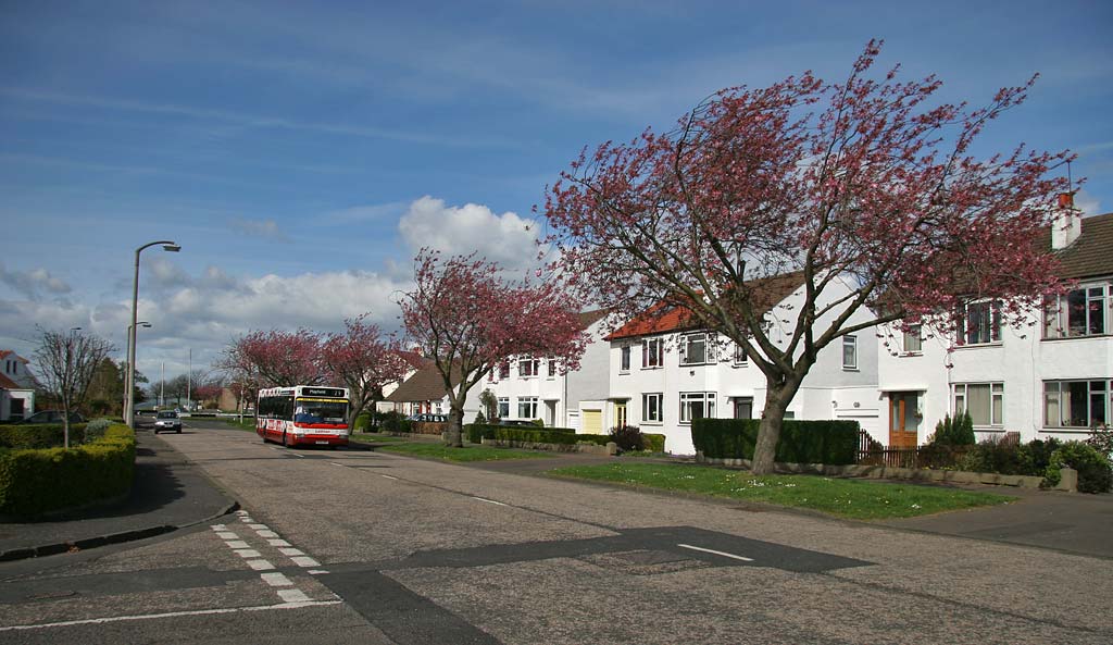 Lothian Buses  -  Terminus  -  Silverknowes  -  Route 29