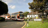 Lothian Buses  -  Terminus  -  East Craigs -  Route 31