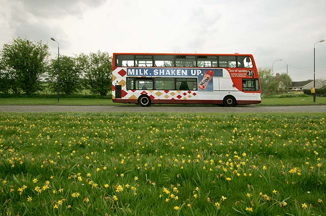 Lothian Buses  -  Terminus  -  Polton Mill  -  Route 31