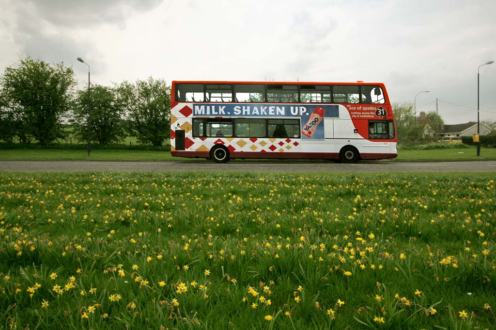 Lothian Buses - Terminus - Polton Mill - Route 31