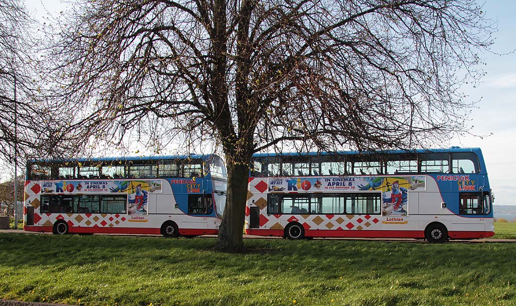 Lothian Buses  -  Terminus  -  Silverknowes  -  Route 42