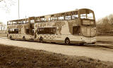 Lothian Buses  -  Terminus  -  Silverknowes  -  Route 37