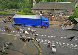 Riding of the Marches  -  Edinburgh, September 6, 2009