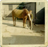 Ginger and John Tait outside the Blacksmith Shop at the Stables