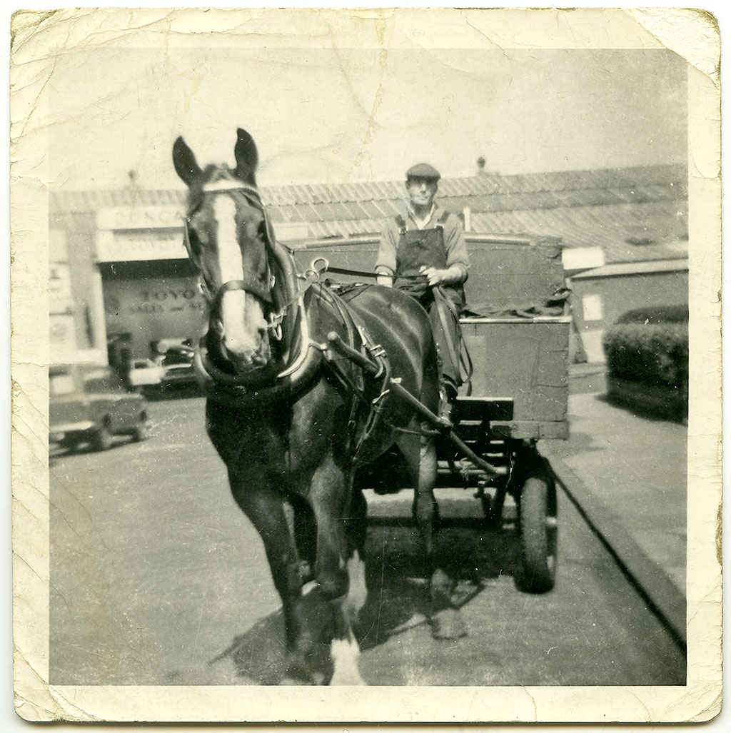 Peter Gallagher with his horse, Skippy in Temple Park Crescent: