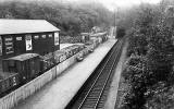 Cointon Station  -  When was this photo taken?