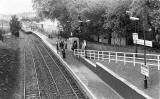 Railway photos - Meadowbank stadium  -  July 24, 1986