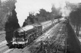 The Railway through Princes Street Gardens  -  1957