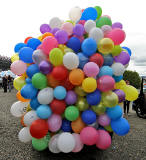 Edinburgh Taxi Trde Children's Outing, 2012  -  Multi-coloured Balloons on the back of a Taxi