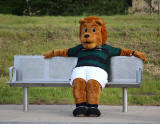 Edinburgh Tram Service  -  A bear, wearing the Raith Rovers FC Away Strip travels on the tram near Edinburgh Park Station  -  June 2014