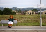 Edinburgh Tram Service  -  A bear, wearing the Raith Rovers FC Away Strip sits on bench at Saughton tramstop  waiting for a tram to Edinburgh Park Station  -  June 2014