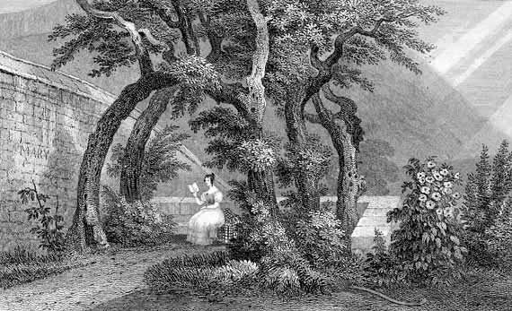 Engraving from "Modern Athens"  -  Published 1829  -  Regent Murray's House - Arbour in the Garden