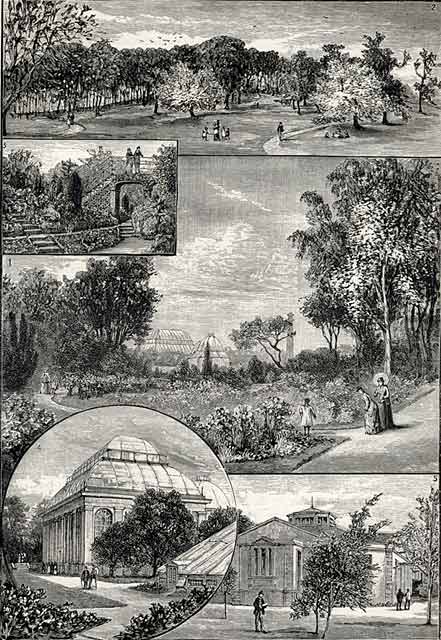 Engraving from 'Old & New Edinburgh'  -  Royal Botanic Gardens