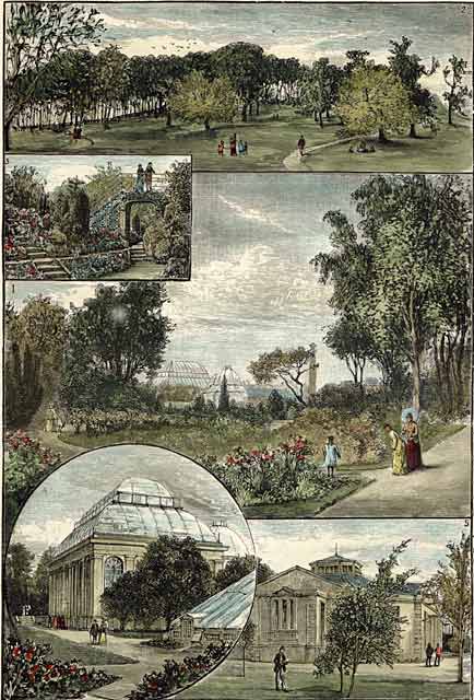 Engraving from 'Old & New Edinburgh'  -  Royal Botanic Gardens  (hand-coloured)