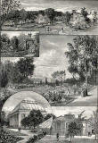 Engraving in 'Old & New Edinburgh'  -  Royal Botanic Gardens