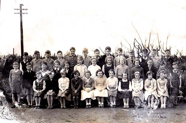 Ravenscraig Annexe  -   Class  -  Around 1953