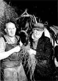 Jimmy Hathaway and the farrier at St Cuthbert's Stables, Grove Street, Edinburgh