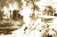 Warriston Cemetery 6  -  Infra-red Photo