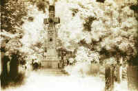 Warriston Cemetery 5  -  Infra-red Photo