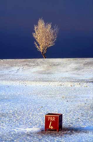 Silverknowes Golf Course  -  Temperature minus 20 degrees