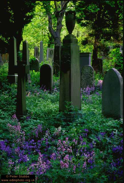 Warriston Cemetery  2  