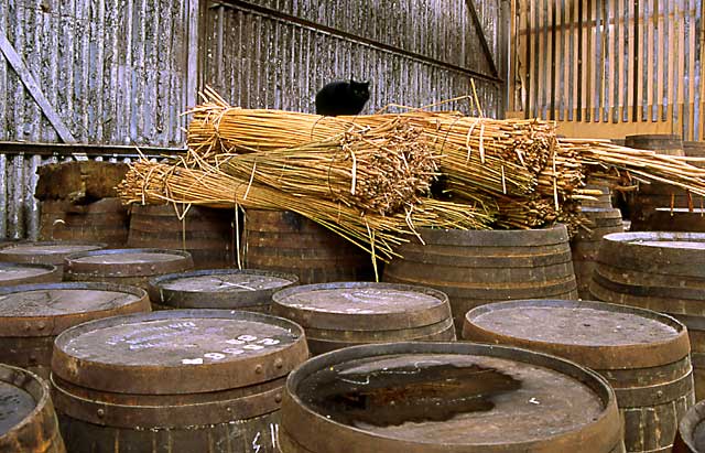 Edinburgh at Work  -  Anderson's Cooperage  -  Leith Docks, 1993