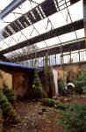 Christmas Tree Warehouse at Canonmills  -  December 1995