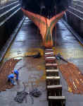 Leith Docks  -  Alexandra Dry Dock