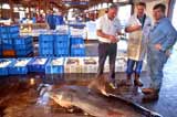 Newhaven Fishmarket  2