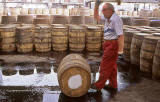 North British Distillery, Gorgie, Edinburgh  -  1996