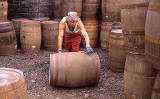 North British Distillery, Gorgie, Edinburgh  -  1996