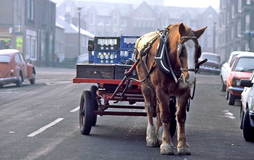 St Cuthbert's Milk Deliveries  -  January 1985