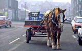 St Cuthbert's Milk Deliveries  -  January 1985