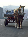 St Cuthbert's Milk Deliveries  -  January 1985