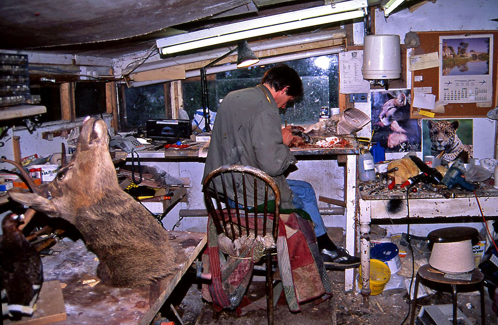 George Jamieson in his taxidermy workshop at Cramond Tower